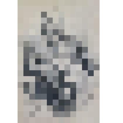 Графический портрет архитектора С.В. Домбровского