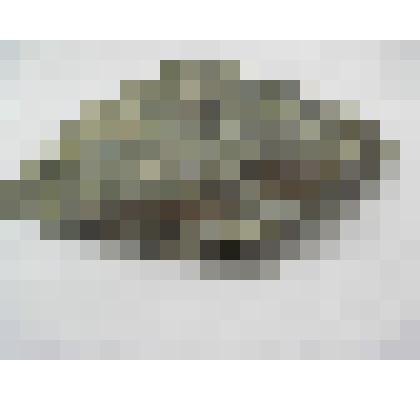 Серпантенит. Серпантенит Из коллекции