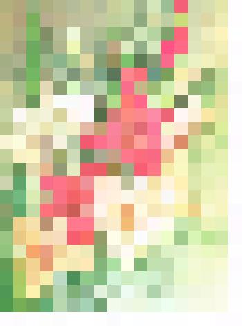 Документ. Телеграмма Тимаревых Эрвье Юрию Георгиевичу с юбилеем. г. Москва. 1984 г