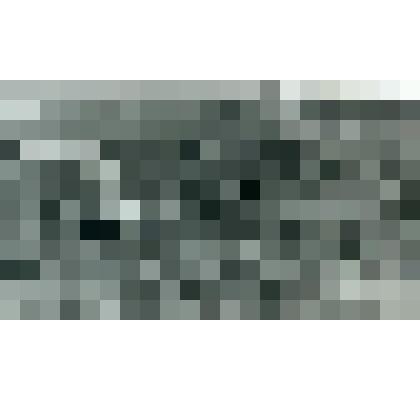 Фотография. Выпас свиней в поле после сбора урожая овощей. Лист 5