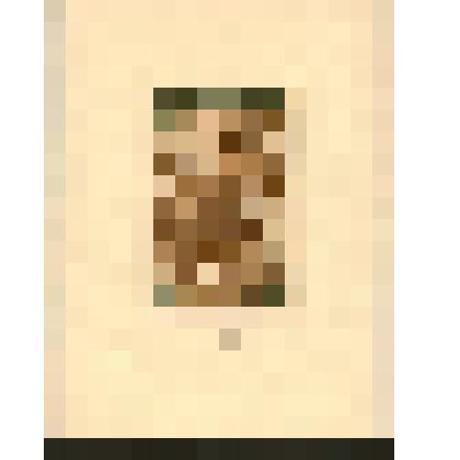 Экслибрис «Из книг Валентина Курбатова»