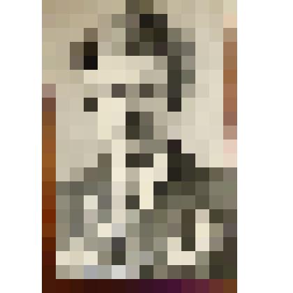 Фотография Портрет Княжева В.Н