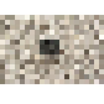 Значок квадратный, серый с вырезанным чёрным контуром портретом Ленина в кепке