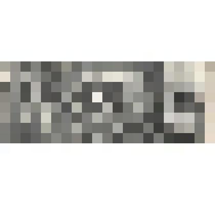 Фотография ч/б. Коллектив Комсомольского ЛПХ.  Празднование  20-летия предприятия