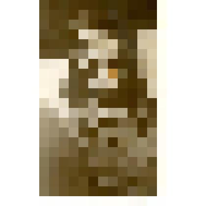 Фотография. Кривогорницына Татьяна