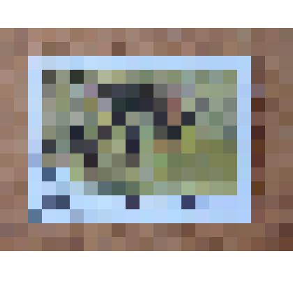 Марка почтовая  из серии "Ихтиофауна" Вьетнам