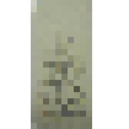 Орнамент с цветком. Рисунок