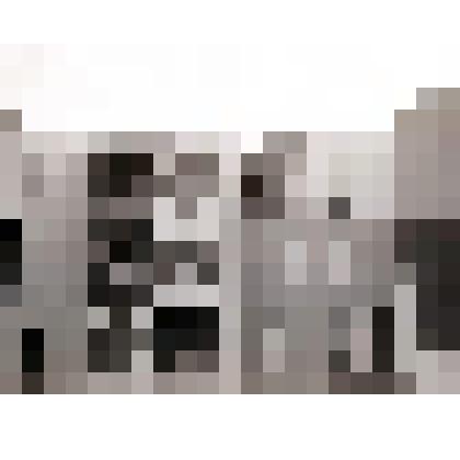 Фотонегатив. Из комплекта: Архив Н.И. Артеменко-Толстой