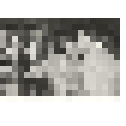 Ф/чб. Сотрудники ЭКМ Ключник Т.Р. и Арбитман Э.Н. на выставке стеклянных произведений А.Зеля. Энгельс. 1996