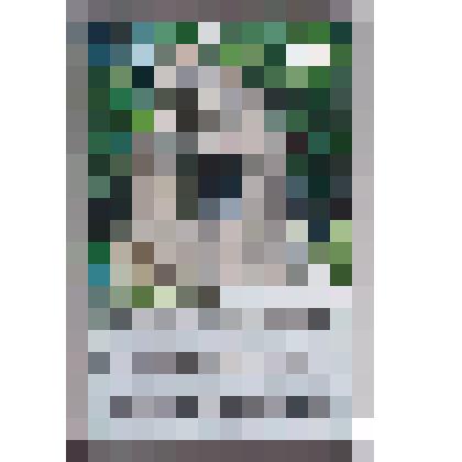 Магнит Тавда. памятник участникам  ликвидации аварии  на Чернобыльской АЭС  2020г. г. Тавда