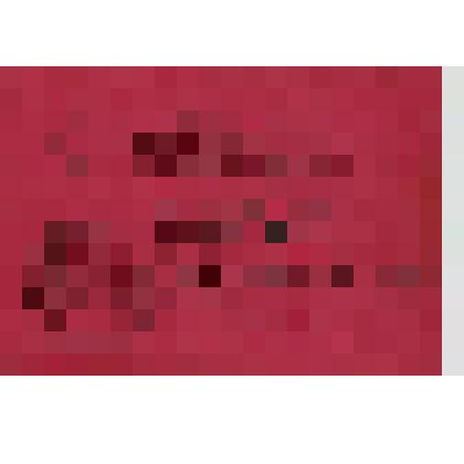 Мандат. Мандат № 412 Трошкина Алексея Федоровича, делегата ХV  Хакасской областной  партийной конференции КПСС  от Ширинской районной партийной организации с правом решающего голоса