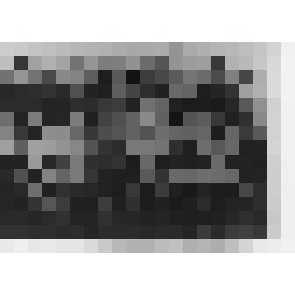 Фото черно-белое