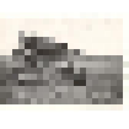 Фотография: новое приспособление при уборке низкорослых хлебов в совхозе "Путь Ильича" Каменского района Алтайского края