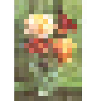 Открытка «Цветы»