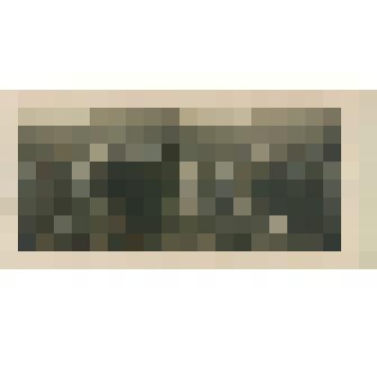 Стереопара на фотобумаге. "Восточная Сибирь. 119. Похороны у камчадаловъ. Вдали – горная панорама окрестностей Петропавловска"