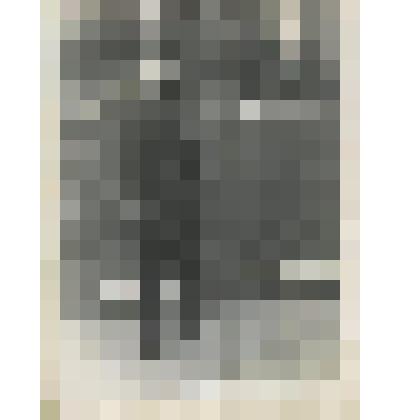 Фото. Новосельцев Николай Васильевич