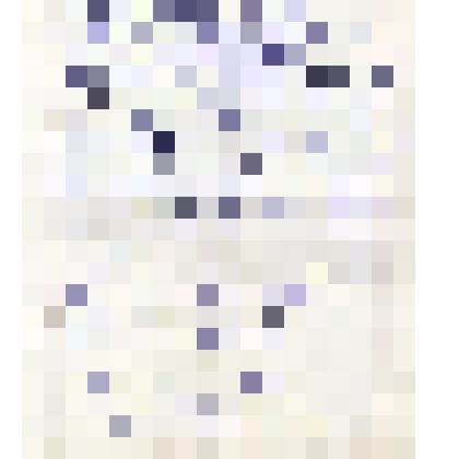 Письма воспоминания бывших учащихся КСШ о школе и о Красном.
Письмо от Куксиной