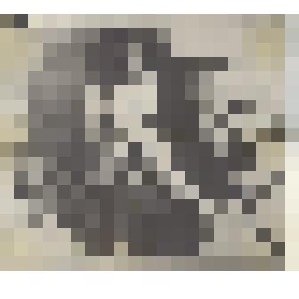 Фотография: Богомяков Евгений, участник Великой Отечественной войны 1941-1945 гг., погиб в Венгрии г. Шарвары