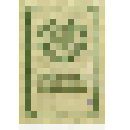 Свидетельство о рождении Д. А. Быстролетова