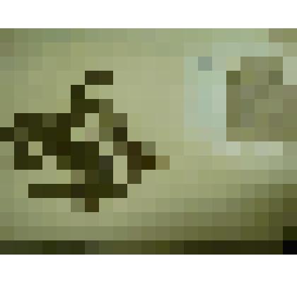 Гербарий. Малина сахалинская, гербария М.И.Губельмана