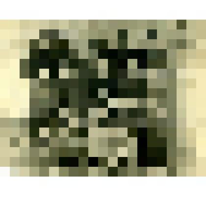 Фотография. Горохова Н.Н., жительница села Коломенского