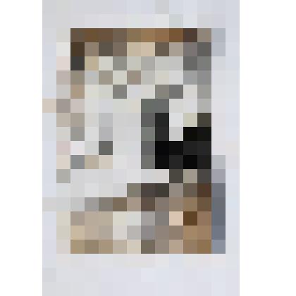 Иллюстрация. (вариант). Из серии иллюстраций к роману И.А.Гончарова «Обломов