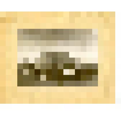 Фотография. Красный обоз с хлебом от единоличников и колхозников "Нового Быта" для сдачи государству