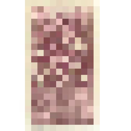 Марки почтовые. Марка почтовая. 15 руб. (темно-вишневый). "Гербовая марка" с изображением двуглавого орла и надпись "Единая Россия" 