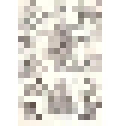 Иллюстрация. Таблица № 94. Выпуск "19-20".
 Из комплекта таблиц "Красота форм в природе"