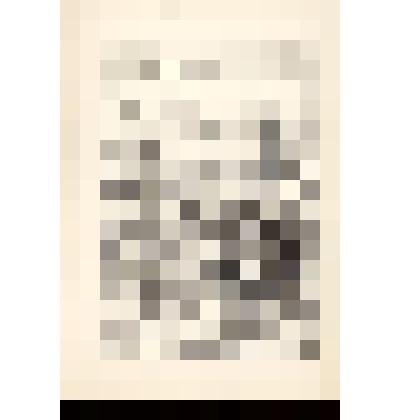 Вид на Дрезден