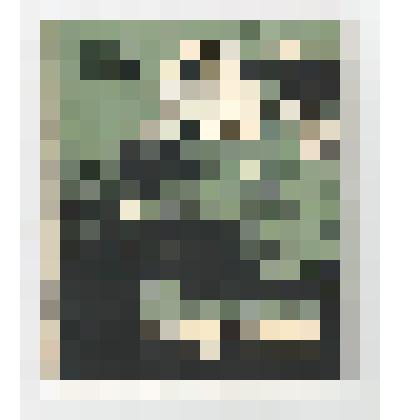 Книги. Книга "Каменный глухарь". - Красноярск: Красноярское книжное издательство, 1962