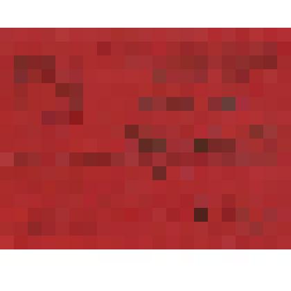 Мандат Филипповой Александры Константиновны