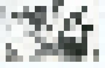 Фотография. Е.О. Волошина, К. Субботина(?), В. Эфрон, В. Соколов, М. Кудашева, С. Эфрон, М. Нахман, М. Цветаева. Коктебель, 1913 г. Из комплекта фотографий с изображением М. Цветаевой, С. Эфрона, А. Эфрон и др. в 1911-1915 гг. в  Коктебеле. Копия