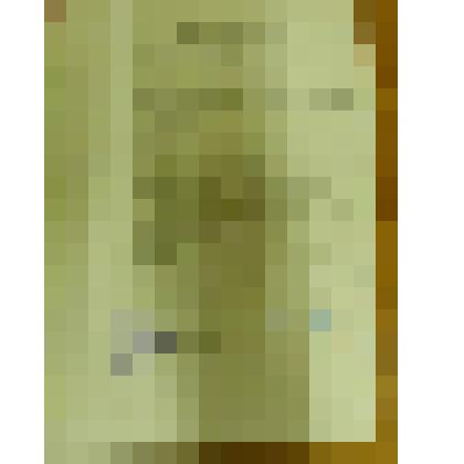 Документ. Характеристика Ивановского областного управления культуры на Сиднева Анатолия Михайловича (1920), уроженца села Порздни, Лухского уезда, Иваново-Вознесенской губернии, директора Кинешемской типографии им. В.И. Ленина (с 1955). 
  Из коллекции ма