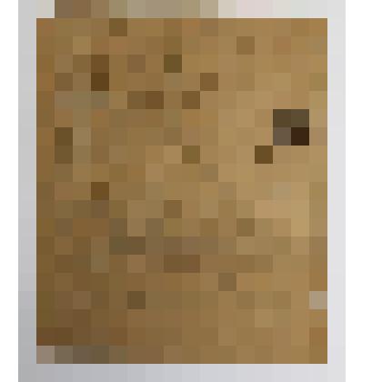 Письмо Музалевской А.И. от Музалевского П. С