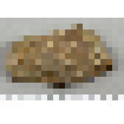 Заготовка рубящего орудия