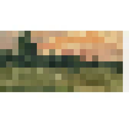 Летний пейзаж