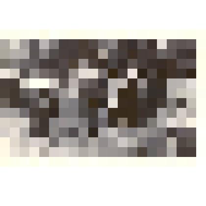 Фотография: слет туристов города Камня-на-Оби Алтайского края в Чапаевском отделении совхоза "Октябрь"