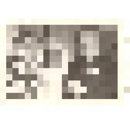 Фотография: комсомольцы 1920-х гг. Недогарко Е.И. и Налимов Ф.Т. (справа)