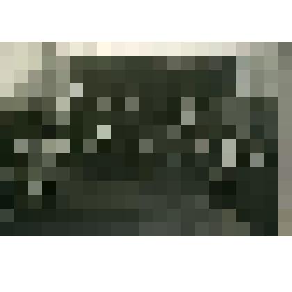 Фотография. Групповой портрет президиума Совета ОАХ и актива