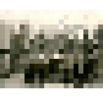 Групповой снимок. Состав Якутского Окружного суда. 1907-1908 гг