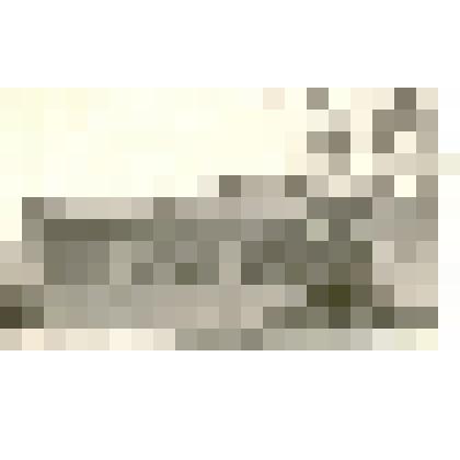 Фотография: новый магазин в районе "Табачника" по улице Речной в г.Камень-на-Оби Алтайского края