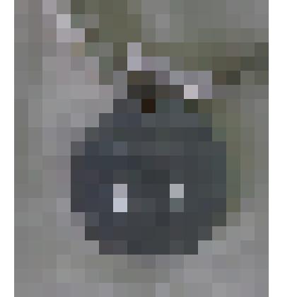 Медаль спортивная