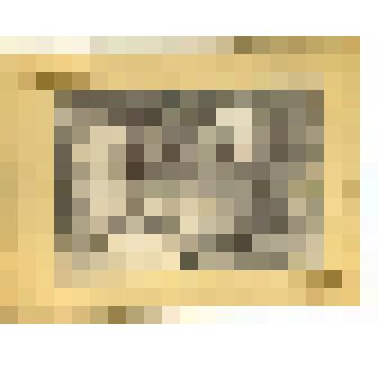 Фотография. Нижегородская губ., с. Б.Мурашкино. Выделка овчин