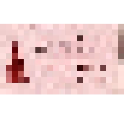 Гостевой билет №0280 Гуляева Башира Локмановича