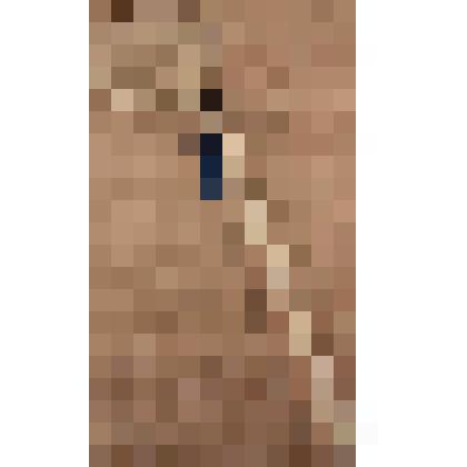 Шумовка эмалированная, из коллекции бытовых вещей семьи Бугаенко Павла Андреевича, профессора филологического факультета Саратовского государственного университета