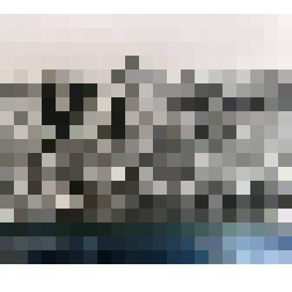 Фотография."Е.С. Савченко с группой специалистов сельского хозяйства на полях одного из Белгородских колхозов"