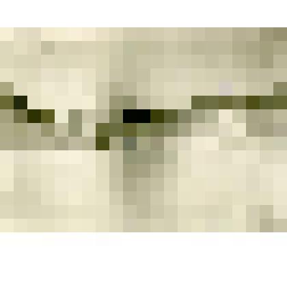 Фотография. Река зимой