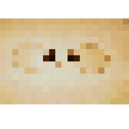 Очки пенсне