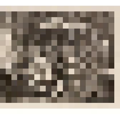 Арест. Лист III из серии "Карьера шлюхи". 1732, из альбома «The Works of William Hogarth»